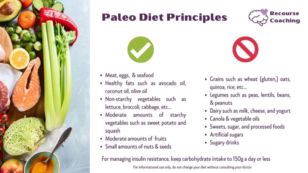 Paleo diet summary